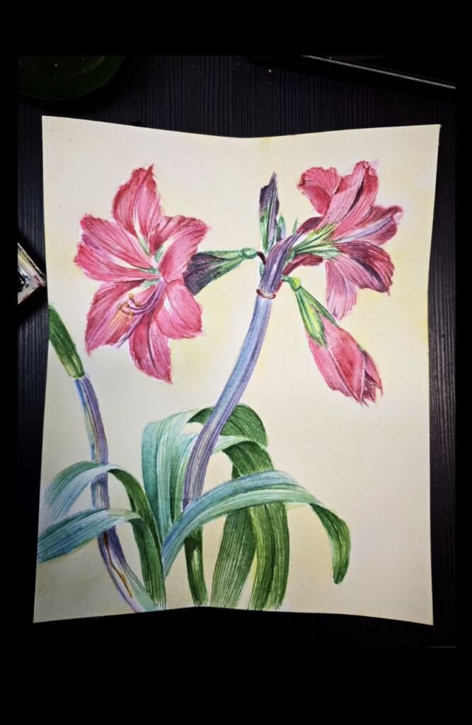Rysunek botaniczny akwarelowy