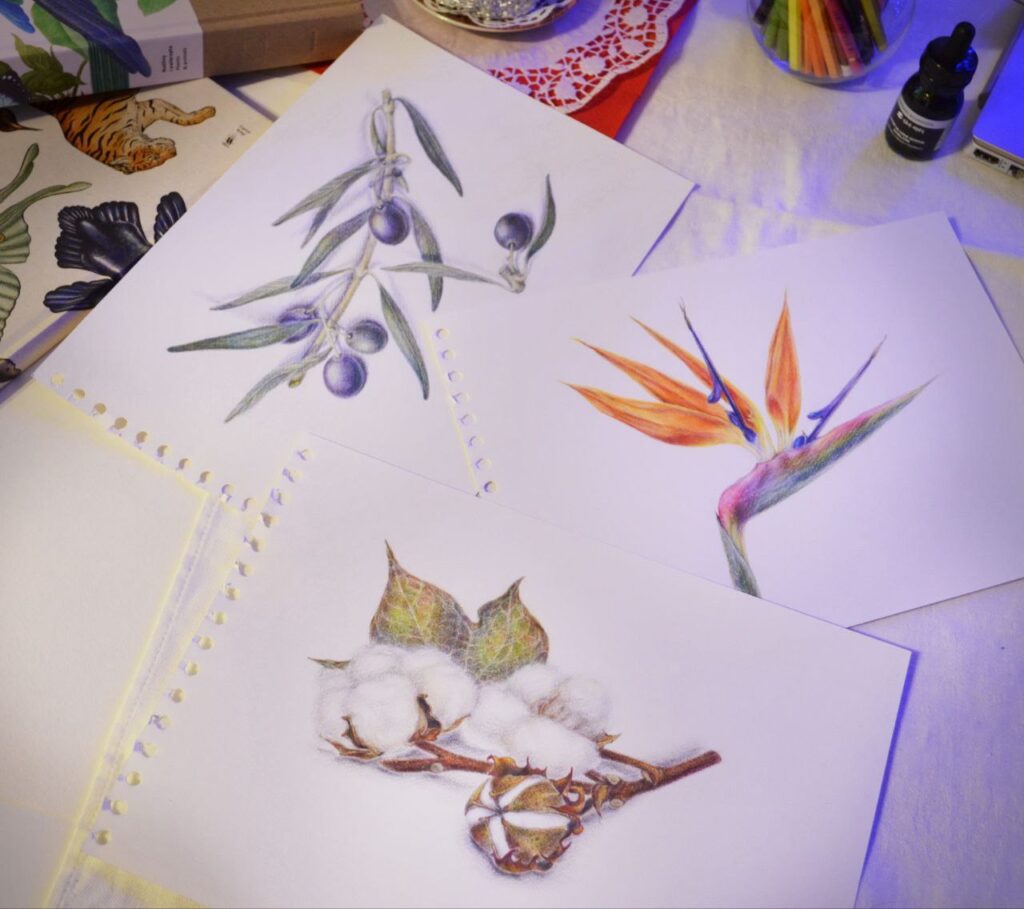 Ilustracja botaniczna kredkami