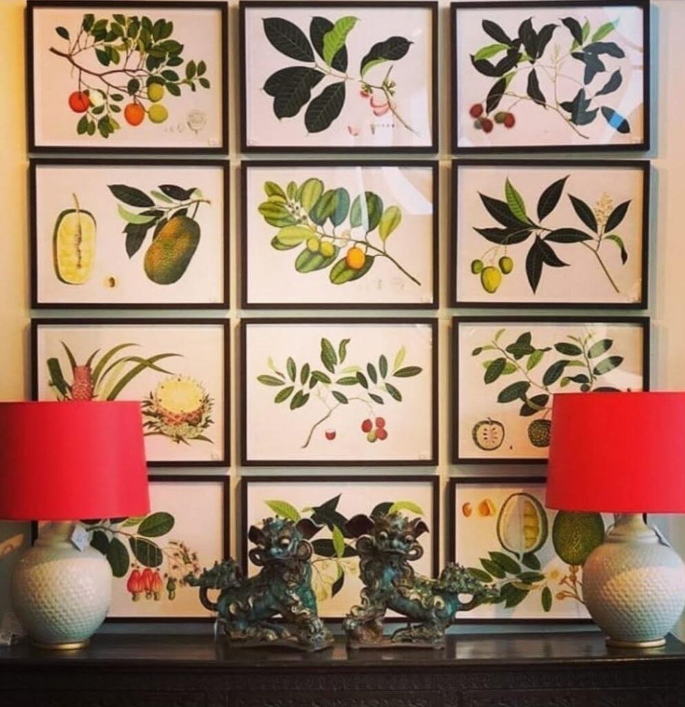 Kilka obrazów na ścianie botaniczna ilustracja interior art